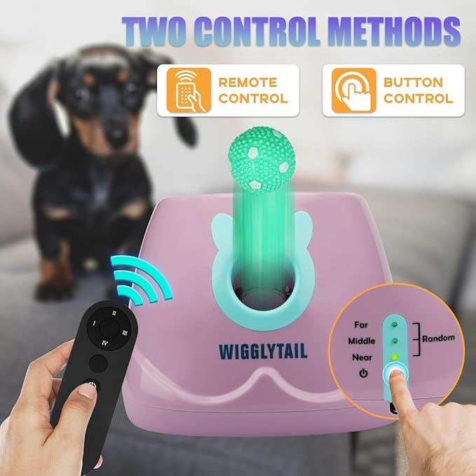 Automatic Ball Launcher for Dogs, Remote Dog Fetch Ball Thrower Launcher, Dog Toys Launcher Ball Thrower with 10 Balls for Small Dogs and Puppies, Interactive Dog Self Playing