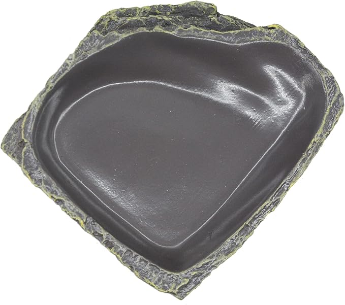Reptile Bowl Reptile Feeder Terrarium Bowls, Reptile Water and Food Bowls for Lizard Feeding Bearded Dragon Food Dish, Gecko Reptile Water Dish