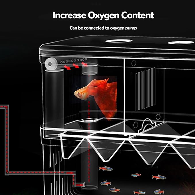 J-star Extra Large Fish Breeder Box, Acrylic Aquarium Breeder Box, Fish Isolation Box for Betta, Guppy, Killifish, Shrimp, Clownfish etc.