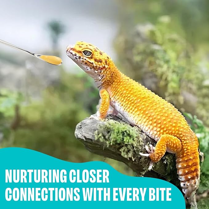 3 Pcs Stainless Steel Reptile Feeding Tool Set with 2 Rubber Tipped Tongs and 1 Crested Gecko Feeding Spoon, Crested Gecko Tank Accessories for Geckos, Lizards, Bearded Dragons, and Small Animals