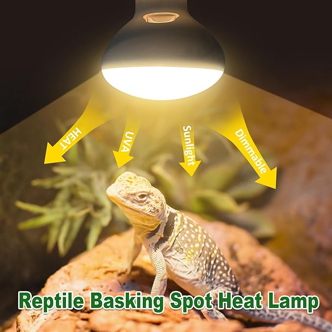 MIXJOY Reptile Heat Lamp 75W 2 Pack, UVA Daylight Basking Spot Light, Amphibians Basking Bulbs Heat Lamps, Heat Lamp Bulbs for Reptiles, Lizard, Tortoise, Bearded Dragon