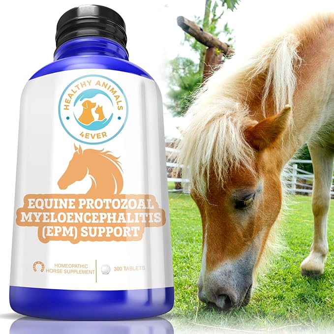 Horse All-Natural Equine Protozoal Myeloencephalitis (EPM) Support - Reduces Weakness, Ataxia & Loss of Coordination - Supplements for Horses - Highly Effective - 300 Tablets