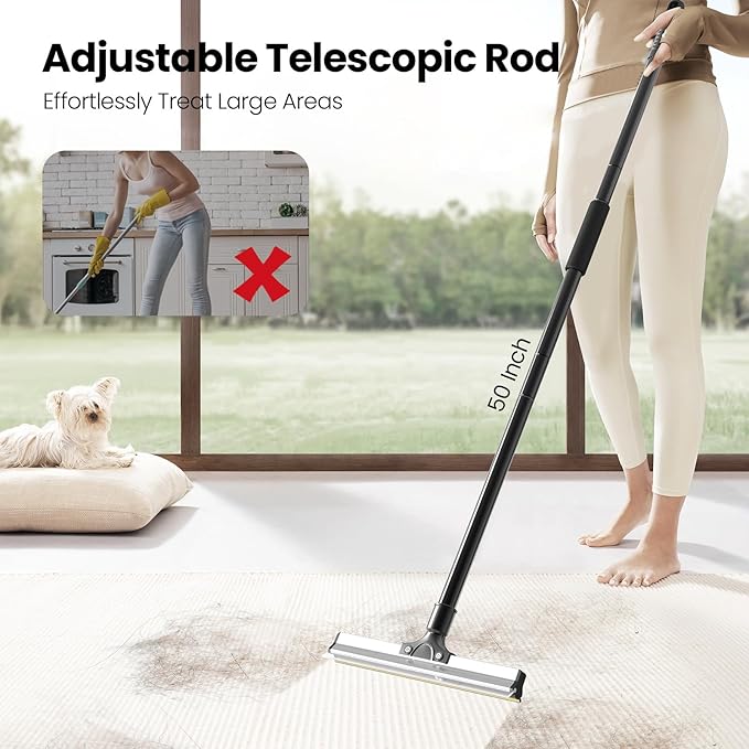 Carpet Rake for Pet Hair Removal Broom Advanced Reusable Dog Cat Hair Remover Tool, 50" Long Handle Pet Hair Remover Brush for Furniture, Couch, Carpets, Rugs, Mats, Lint Remover Scraper