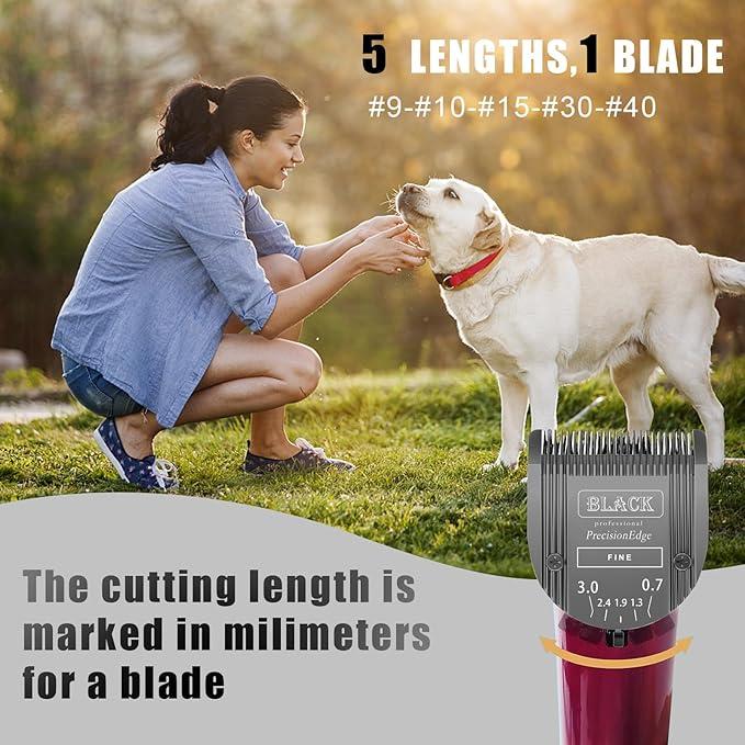 Adjustable 5 in 1 Blades Dog Grooming Blades Compatible with Wahl Animal Clipper Arco, Bravura, Chromado, Creativa, Figura, and Motion Pet, Dog, and Horse (BLACK/2PC)