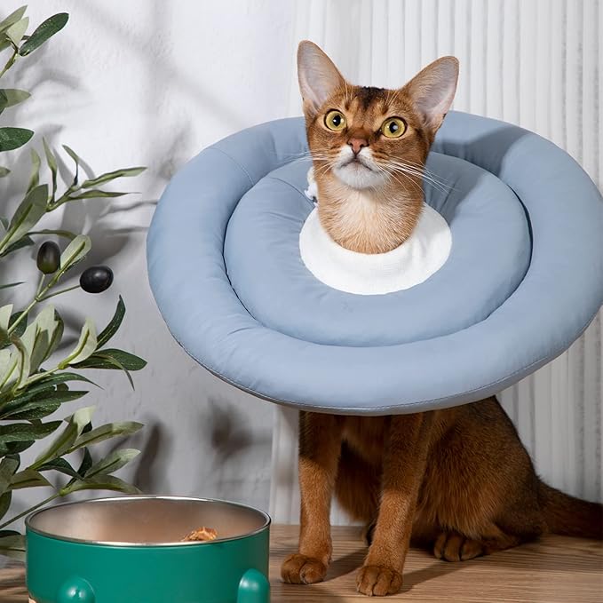 Gagabody Dog Cones for Medium Dogs,Comfortable Adjustable Soft Dog Cone Alternative After Surgery,Elizabethan Donut Collar for Medium Dogs Recovery,Different Sizes for Cats,Large Dogs and Small Dog