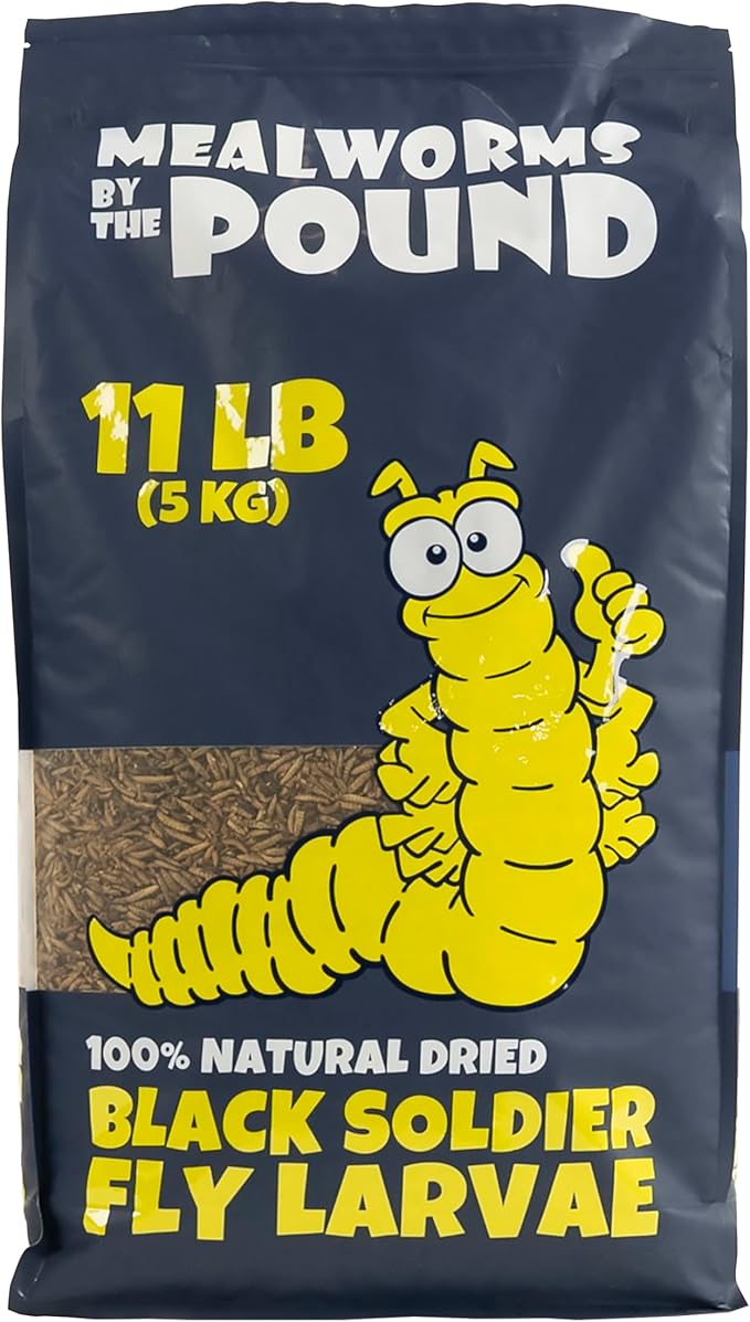 Dried Black Soldier Fly Larvae (11 lbs) - More Calcium Than Mealworms - Treats for Chickens, Wild Birds, & Reptiles