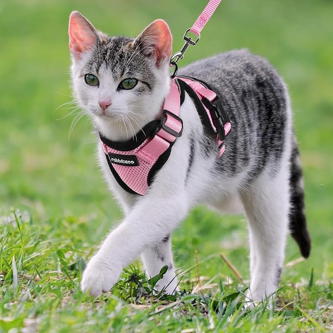 rabbitgoo Cat Harness and Leash for Walking, Escape Proof Soft Adjustable Vest Harnesses for Cats, Easy Control Breathable Reflective Strips Jacket, Pink, XXS