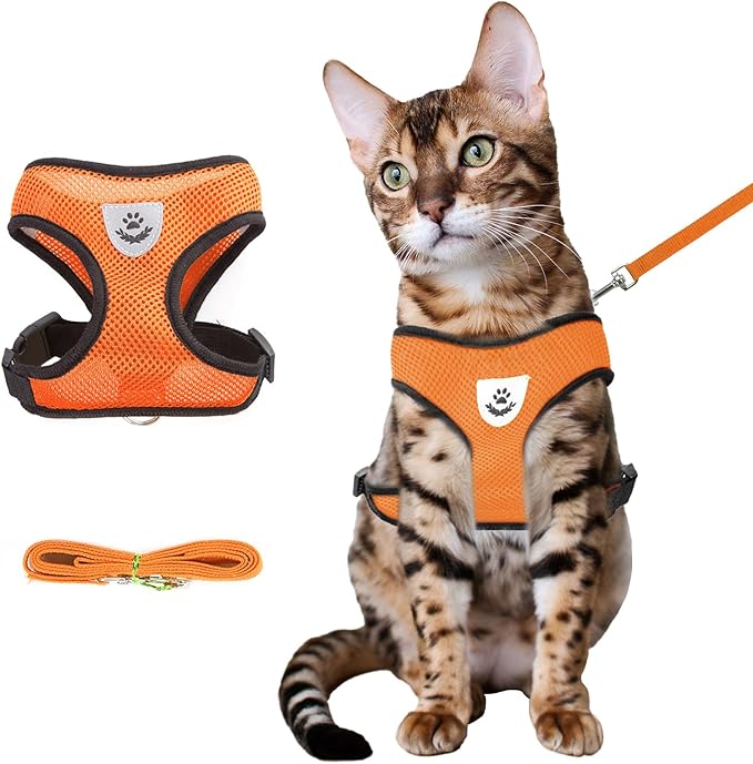 Summer cat Chest Harness and Leash, Anti-Escape Adjustable Soft mesh cat Leash and Chest Harness Set for All Types of Cats cat Vests (Size L, Orange)