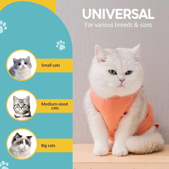 Avont Cat Recovery Suit - Kitten Onesie for Cats After Surgery, Cone of Shame Alternative Surgical Spay Suit for Female Cat, Post-Surgery or Skin Diseases Protection -Coral(S)