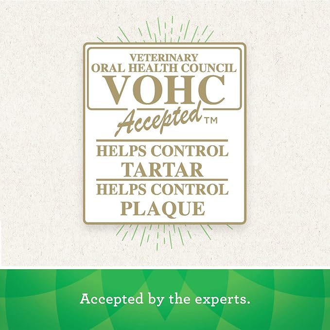 Greenies Gingerbread Flavor Petite Size, Veterinarian-Recommended for Dental Care, Dog Treat Chews, Great Holiday Dog Stocking Stuffers, Limited Edition, 12 oz., Pack of 20