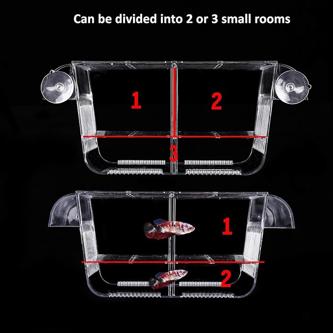 Fish Breeding Box, perfect fish tank divider acclimation box for aggressive fishes, nursery for injured, hatchery incubator breeder box for Shrimp cicilids eggs baby fishes (S ( 5.3*2.7*2.9" ))