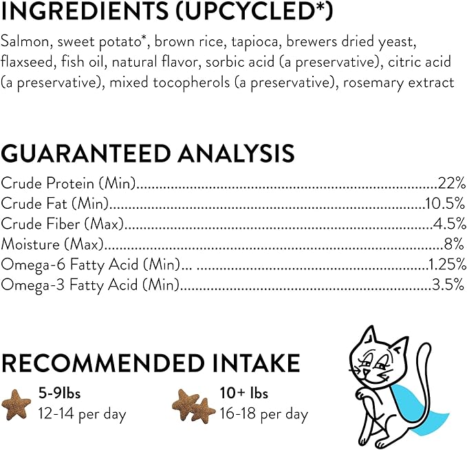 Shameless Pets Crunchy Cat Treats - Kitty Treats for Cats with Skin & Coat Support, Natural Ingredients Kitten Treats with Real Salmon, Healthy Flavored Feline Snacks - Yam Good Salmon, 1-Pk