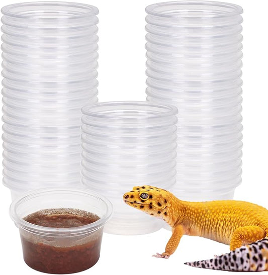 AIICIOO Gecko Feeder Ledge Cup Plastic Bowls Strong Magnetic Reptile Food Feeder Water Dish 50 Pack 1oz