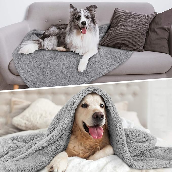 PetAmi Fluffy Waterproof Dog Blanket Fleece | Soft Warm Pet Fleece Throw for Large Dogs and Cats | Fuzzy Furry Plush Sherpa Throw Furniture Protector Sofa Couch Queen Bed (Light Grey, 90x90)