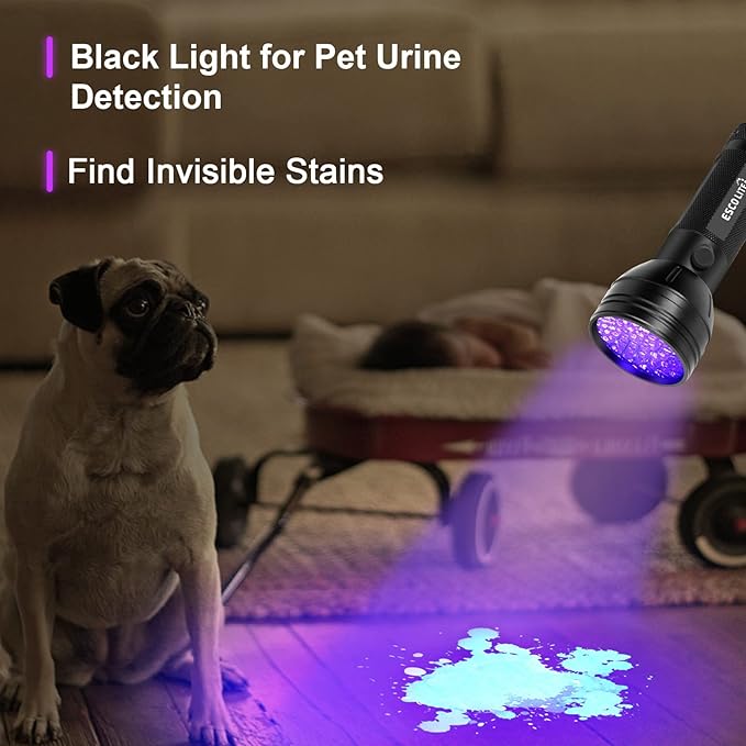 Escolite Blacklight UV Flashlight, 51 LED Black Light Pet Urine Detector for Dog Cat Urine, Blue Light for Scorpions Pack of 10