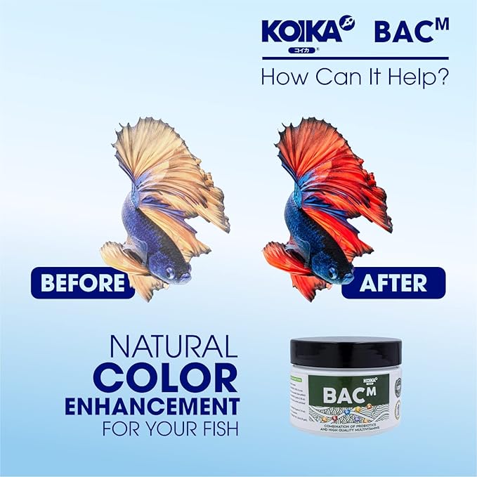 BACM Natural Color Enhancement for Fish, Combination of Probiotic & Multi-Vitamins for Aquarium A, B6, B2, Pleasant Smell (BACM (New Formula), 10ml)