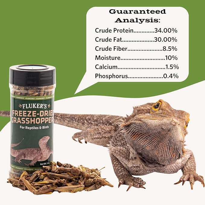 Fluker's Freeze Dried Grasshoppers, Nutrient-Packed, Ideal for Lizards, Reptiles, Birds, Fish, Hedgehogs, 1.7 oz