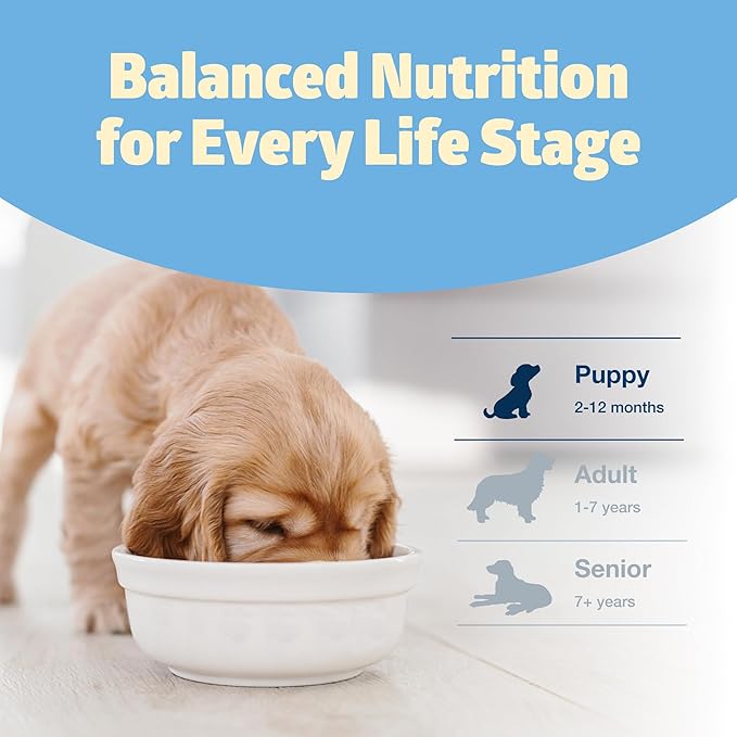 Blue Buffalo Freedom Grain-Free Puppy Dry Dog Food With DHA, Complete & Balanced Nutrition for Puppies, Made in the USA With Natural Ingredients, Chicken & Potatoes, 4-lb. Bag