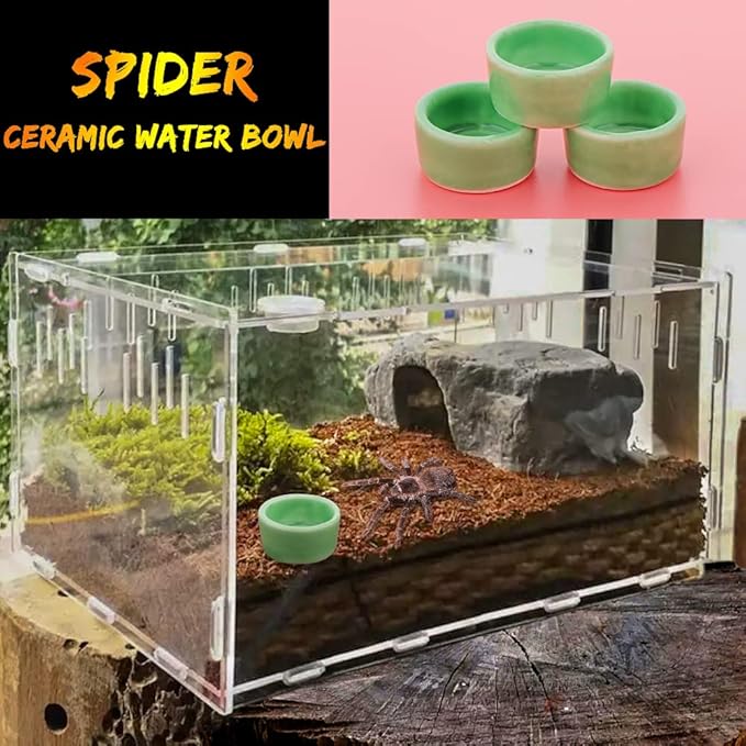 9 Pcs Small Spider Water Bowl Tarantula Ceramic Mini Dish for Tarantula Spider Millipede Tiny Bugs Terrarium Breeding Feeders (Green)