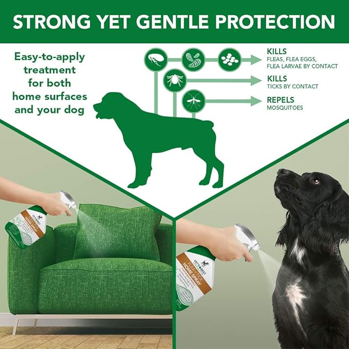 Vet's Best Flea and Tick Home Spray | Flea Treatment for Dogs and Home | Plant-Based Formula | 32 Ounces, 2 Pack