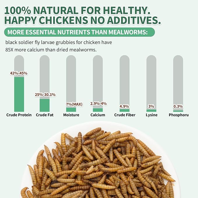 High Calcium, Non-GMO, 10LB Dried Black Soldier Fly Larvae for Chickens, 60-100X More Calcium Than Mealworms for Laying Hen, Ducks, Wild Birds,Turtles