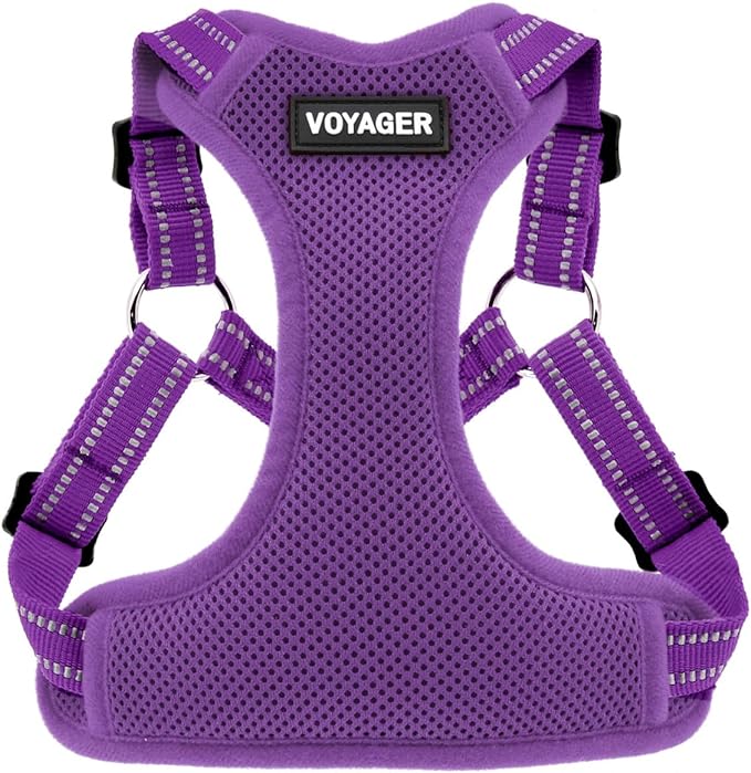 Best Pet Supplies Voyager Adjustable Dog Harness with Reflective Stripes for Walking, Jogging, Heavy-Duty Full Body No Pull Vest with Leash D-Ring, Breathable All-Weather - Harness (Purple), M