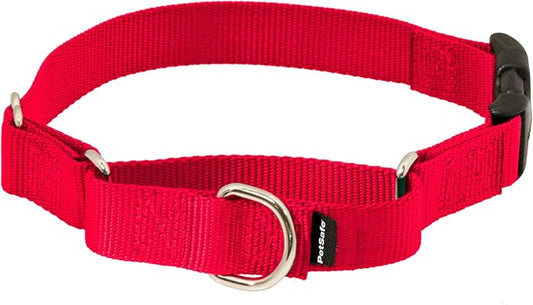 PetSafe Martingale Dog Collar with Quick-Snap Buckle - Petite, 3/8 Inch, Red