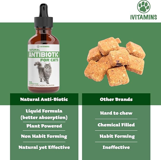 Natural Alternative Cat Antibiotic | Cat Antibiotics | Antibiotics for Cats | Antibiotic for Cats | Cat Antibiotics for UTI | Cat UTI | Cat UTI Treatment | Cat UTI Antibiotics | 1 fl oz (1)