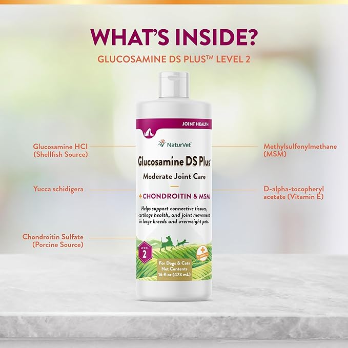 NaturVet Glucosamine DS Plus Hip & Joint Support Liquid Pet Supplement – Level 2 Moderate Care for Dogs & Cats – Includes Glucosamine, MSM, Chondroitin – 16 Oz