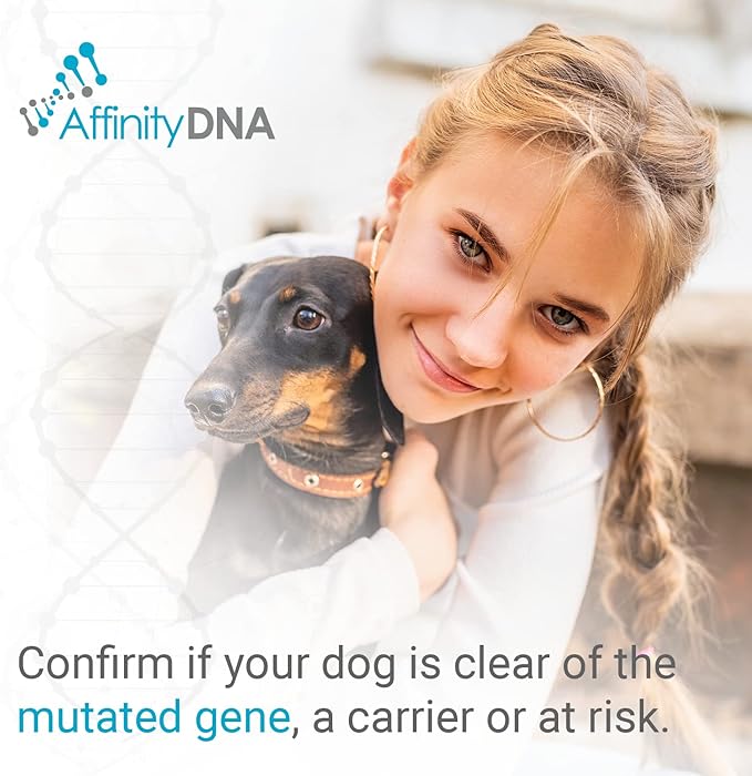 Dog Uric Acid DNA Test for Hyperuricosuria | Home Sample Collection Kit for 1 Canine | Dogs Uric Acid Testing | Results in 7 Working Days | A Complete Kit with No Extra Fees