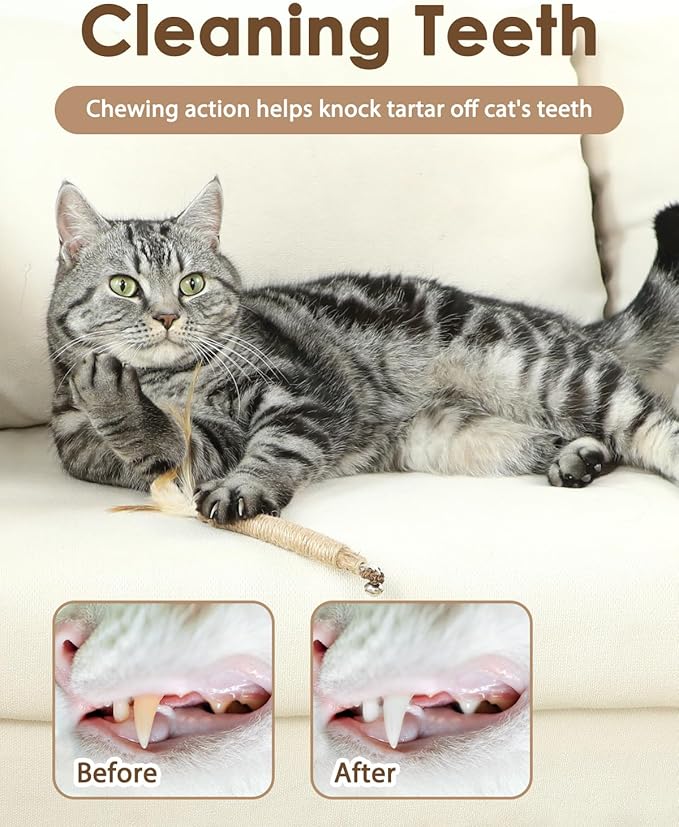 Tocirelo Cat Toys for Indoor Cats - 6Pack Silvervine Sticks Cat Enrichment Toys, Matatabi Kitten Teething Chew Toys with Bell and Feathers for Aggressive Chewers, Cat Dental Treat for Teeth Cleaning