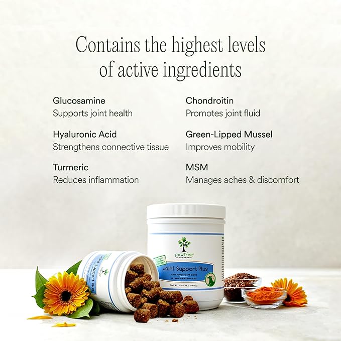 pawTree Joint & Hip Support Supplement for Cats with Glucosamine, Chondroitin, MSM, Tumeric & Green Lipped Mussels - Vitamins, Supplements & Health Essentials - All-Natural Mobility Soft Chews (Cats)