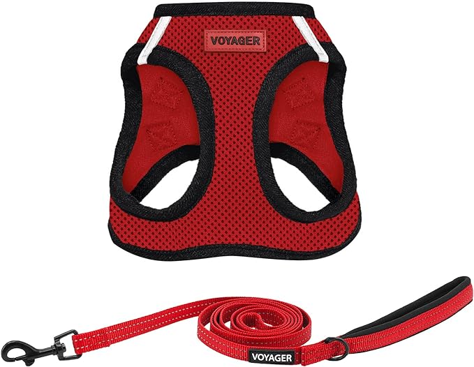 Voyager Step-in Air All Weather Mesh Harness and Reflective Dog 5 ft Leash Combo with Neoprene Handle, for Small, Medium and Large Breed Puppies by Best Pet Supplies - Red/Black Trim, Small