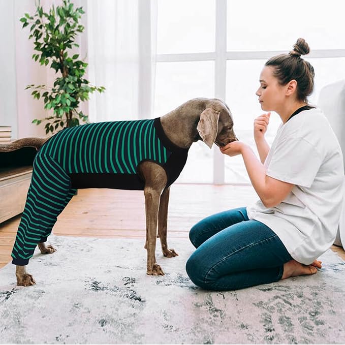 Kuoser Dog Recovery Suit, Anti Licking Dog Rear Leg Sleeve, Abdominal Dog Surgical Suit with Pants Cover Protect Wounds, Dog Elbow Protector Soft Dog Surgery Onesie Cone Alternative, Green XL