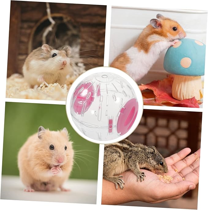 10 Pcs Small Hamster Sports Ball Hamster Stuff Hamster Balls for Dwarf Hamsters Small Pet Running Balls Small Hamster Ball Hedgehog Running Balls Cage Rat Exercise Balls