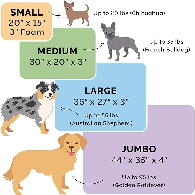 Furhaven Memory Foam Dog Bed for Small Dogs w/ Removable Washable Cover, For Dogs Up to 20 lbs - Sherpa & Flannel Paw Print Deluxe Mattress - Jade Green, Small