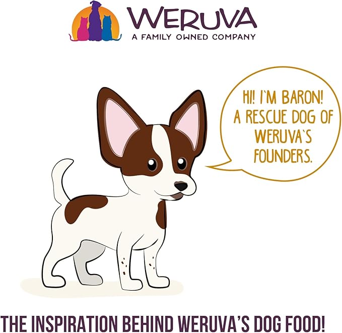 Weruva Classic Dog Food, Feliz Navidog Variety Pack, 5.5oz Can (Pack of 12)