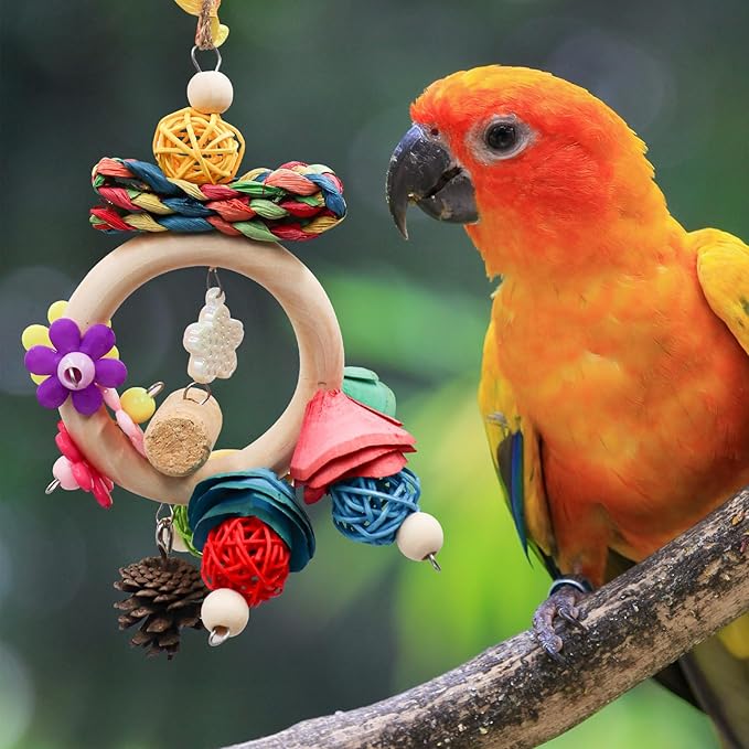 Bird Chewing Toys, Hanging Natural Materials Parrot Chew Toy, Bird Cage Accessories, Suitable for Small to Medium Birds Budgie Lovebirds Conures Parakeets Cockatiels