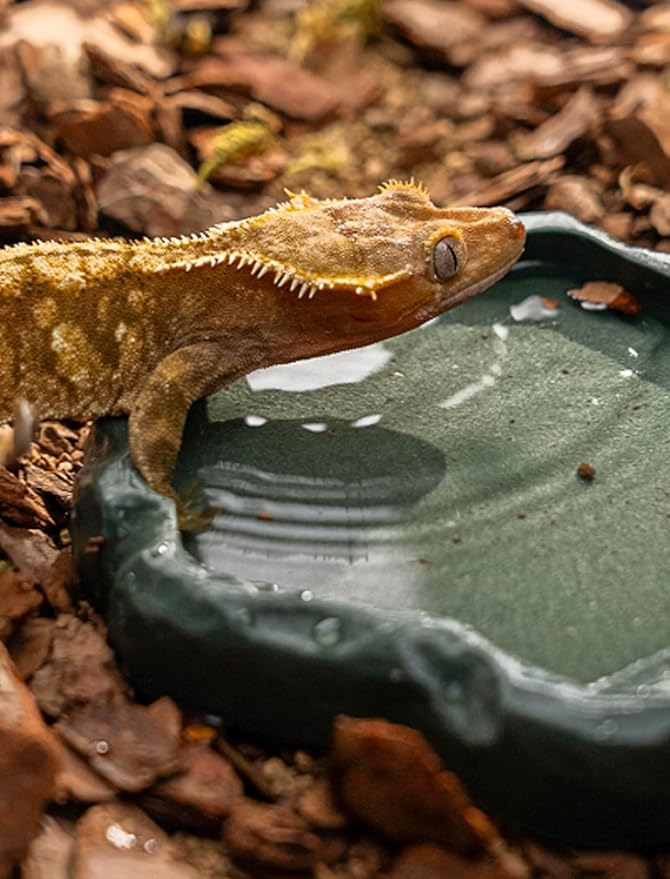 HEEPDD Reptile Bowl, Resin Rock Reptile Food and Water Feeder Pet Aquarium Ornament Terrarium Dish Plate for Tortoise Lizard Iguana(Dark green M)