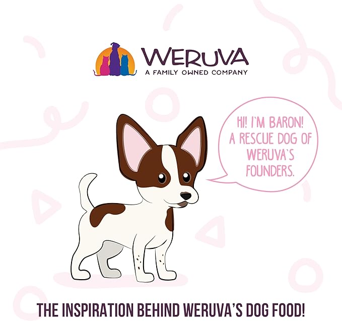 Weruva Meals 'n More Natural Wet Dog Food, Belly Belly Nice! Digestive Support Variety Pack, 3.5oz Cup (Pack of 10)