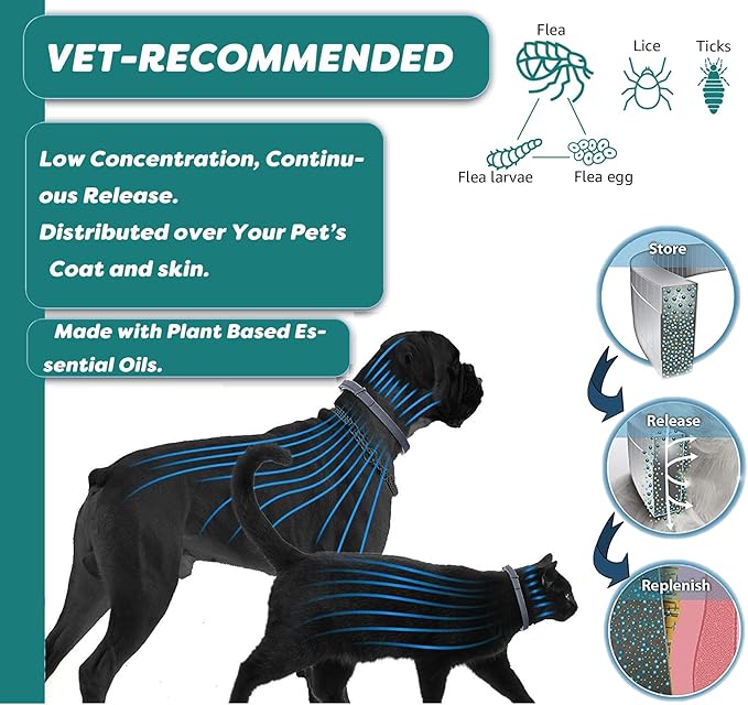 Flea and Tick Collar for Cats. Offers 4 * 6 Months of Protection. Made from Quality Essential Oils. Waterproof and Natural. Protects Kittens. Free Flea Comb and Tick Tweezers. (4 Pack - 13.8 inches)