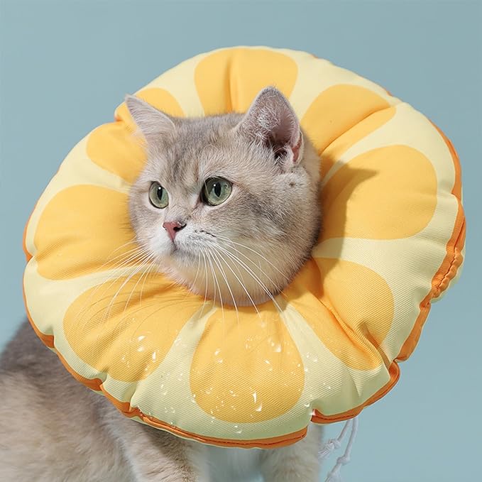 Cat Recovery Soft Collar.Waterproof Soft Recovery Cone Collar. Anti-bite and Anti-Lick Wound Healing Safe Adjustable Elizabethan Collar.(M)