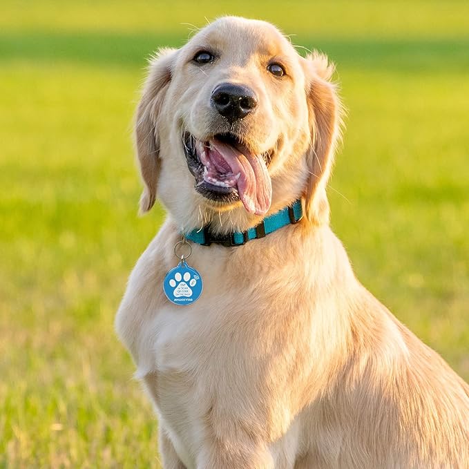MYLUCKYTAG NFC & QR Code Smart Pet ID Tag Personalized Dog Cat Tag, Online Pet Profile, Pet Location Alert Email, Digital Pet Tag, Quiet Pet Tag, Durable Pet ID, Dog Collar Tag