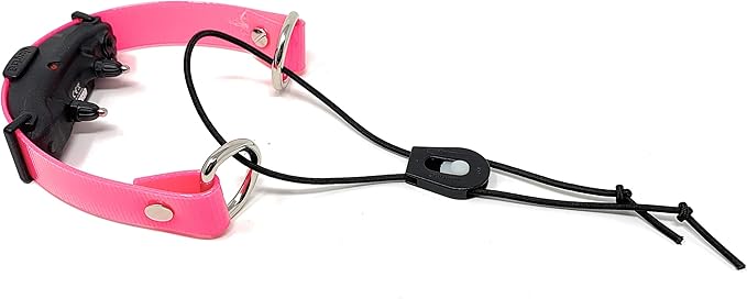 Sparky Pet Co - ECollar Replacement Strap - Bungee Dog Collar - Waterproof - Adjustable - Secure Nexus Wheel Lock - for Electronic Training & Invisible Fence Systems - 1" (Neon Pink)