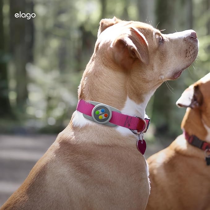 elago Airtag Pet Collar W5 Case Compatible with Apple AirTag - Drop Protection Keychain, Cute Design (Track Dogs, Keys, Backpacks, Purses) Tracking Device Not Included (Light Grey)