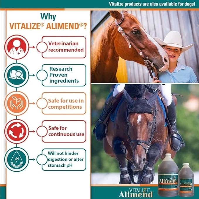 Alimend - Horse Gastric & Equine Ulcer Support Solution, Horse Probiotics & Digestive Supplements Alternative, Horse Weight Gain Supplement, 128 Fluid Ounce (3785ml)