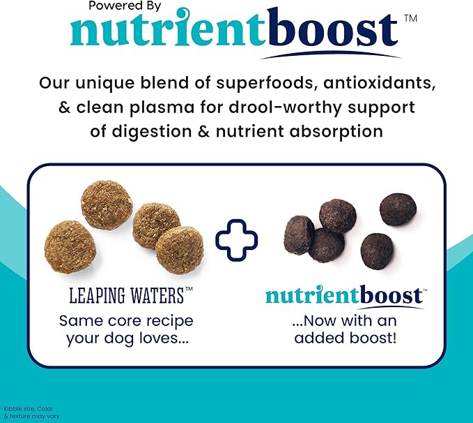 Solid Gold Nutrientboost Leaping Waters - Dry Dog Food for Sensitive Stomach - w/Salmon & Vegetables - Digestive Probiotics for Gut Health - Superfood & Antioxidant Support for Dogs - 22 LB Bag