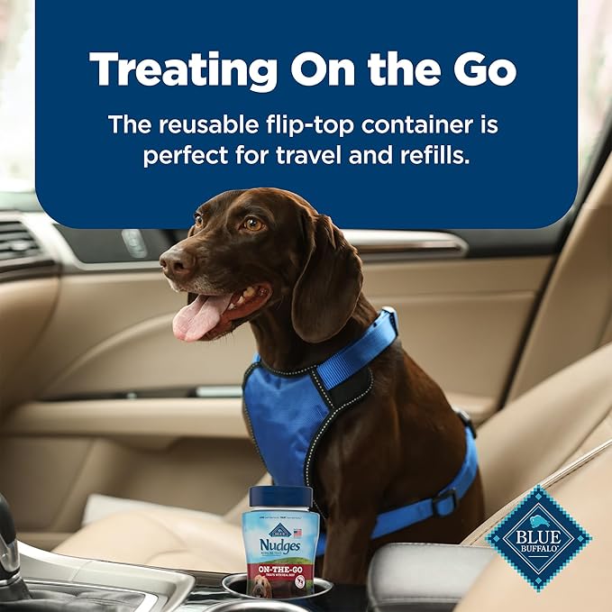 Blue Buffalo Nudges Bite-size Chewy Dog Treats with Real USA Beef, Made with Natural Ingredients, Great for On-the-Go, 5.5-oz. Container