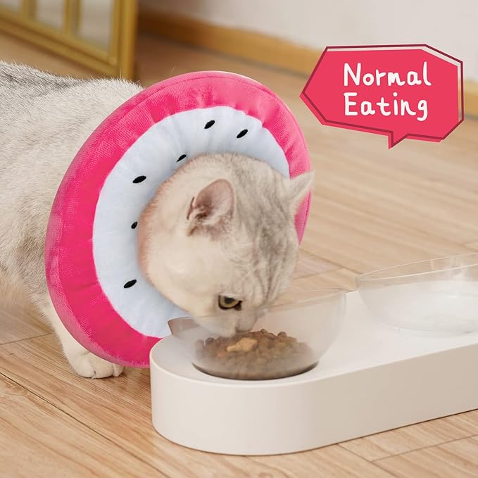 ANWA Adjustable Cat Cone Collar Soft, Cute Cat Recovery Collar, Cat Cones After Surgery for Kittens