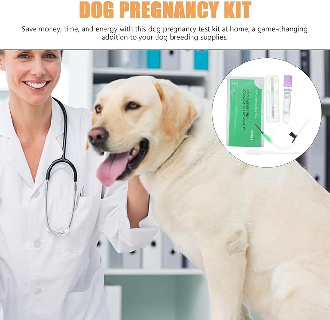 Yardwe Dog Pregnancy Kit 1 Set Pet Dog Pregnancy Test Paper Fast and Accurate Detection Early Pregnancy Test Kit for Dog Cat Disposable Pet Clinic Equipment Animal Pregnancy Test Tools